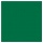 OLIMA BASIC TOWEL Kelly Green 100X150 - Photo