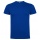 ROLY DOGO PREMIUM ROYAL BLUE 11/12 - Zdjęcie