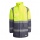 ROLY MERAK LEAD/FLUOR YELLOW S - Photo