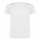 ROLY SEPANG WHITE S - Zdjęcie
