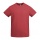 ROLY VEZA CHRYSANTHEMUM RED S - Photo