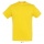 Sol's Regent Unisex R-Collar T Gold XS - Zdjęcie
