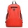 STAMINA CONDOR RED 90 - Photo