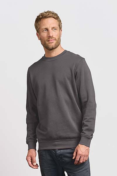 Bluza męska Promodoro Men’s Sweater 80/20 (P-2199) - Zdjęcie