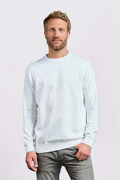 Bluza męska Promodoro Men’s Sweater 80/20 (P-2199) - Zdjęcie