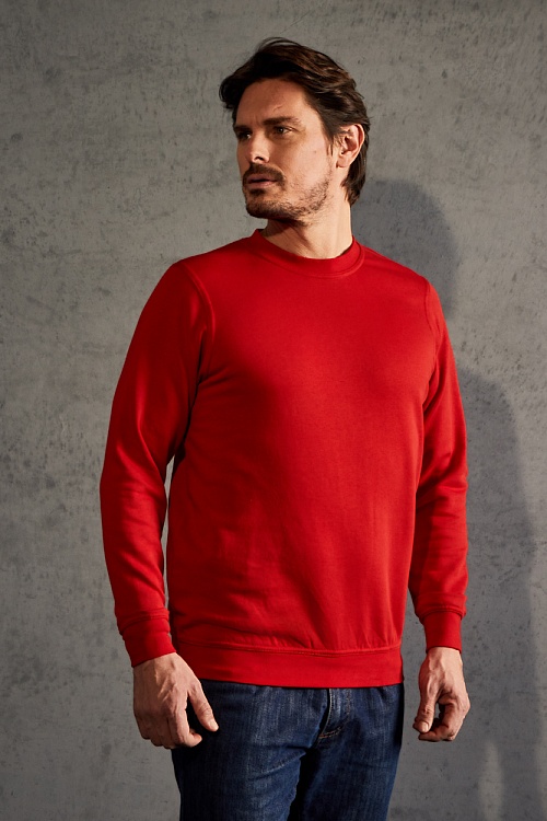 Bluza męska Promodoro Men’s Sweater 80/20 (P-2199) - Zdjęcie