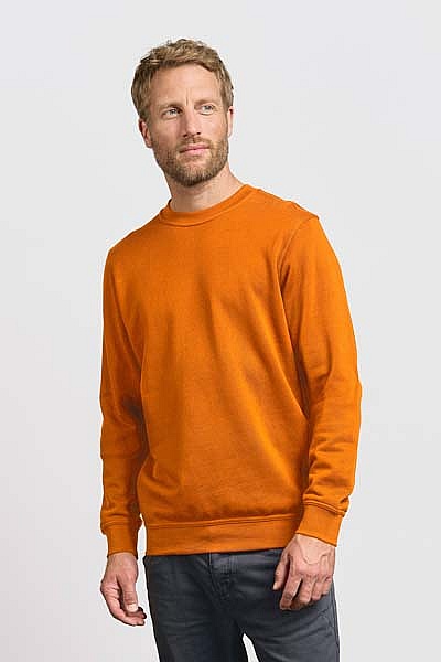 Bluza męska Promodoro Men’s Sweater 80/20 (P-2199) - Zdjęcie