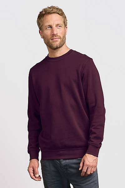 Bluza męska Promodoro Men’s Sweater 80/20 (P-2199) - Zdjęcie