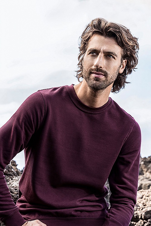 Bluza męska Promodoro Men’s Sweater 80/20 (P-2199) - Zdjęcie