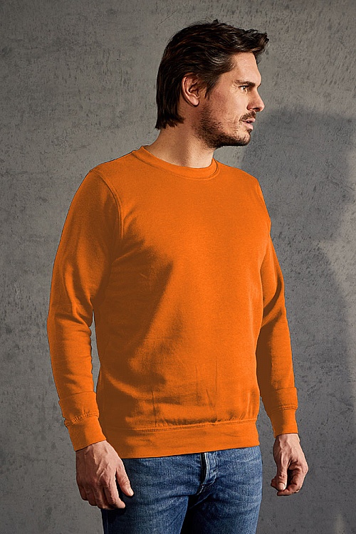 Bluza męska Promodoro Men’s Sweater 80/20 (P-2199) - Zdjęcie