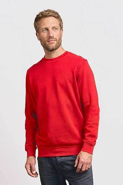 Bluza męska Promodoro Men’s Sweater 80/20 (P-2199) - Zdjęcie