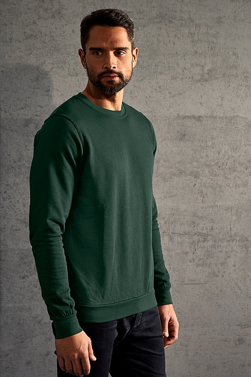 Bluza męska Promodoro Men's Sweater (P-5099) - Zdjęcie