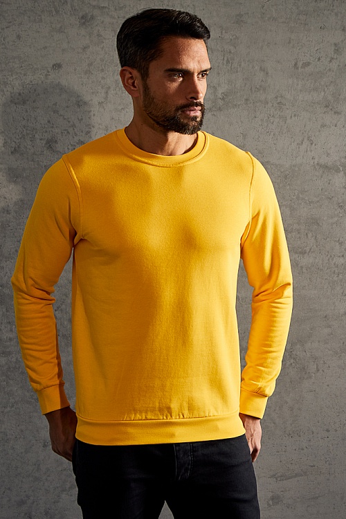 Bluza męska Promodoro Men's Sweater (P-5099) - Zdjęcie