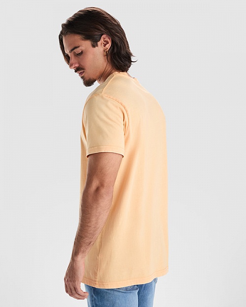 Men's T-shirt Roly Corgi 180 g (CA2200) - Photo
