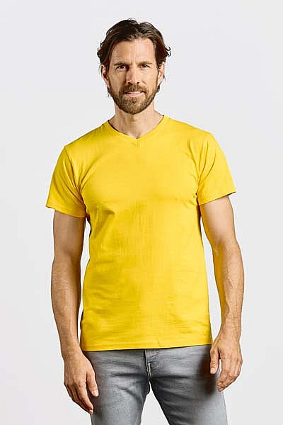 Promodoro Premium V-Neck-T (P-3025) - Photo