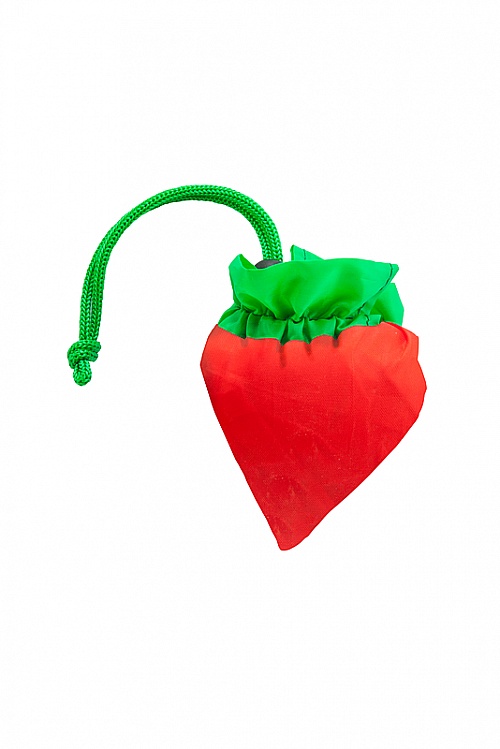 STAMINA FOCHA Foldable Shopping Bag (BO7523) - Photo
