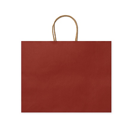 STAMINA MAPLE Paper Bag (BO7541) - Photo