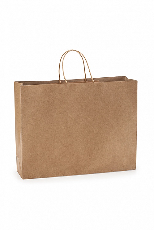 STAMINA MAPLE Paper Bag (BO7541) - Photo