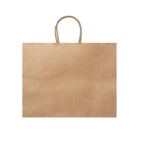 STAMINA MAPLE Paper Bag (BO7541) - Photo