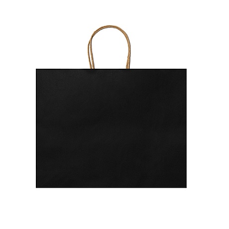 STAMINA MAPLE Paper Bag (BO7541) - Photo