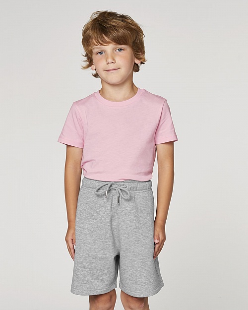 Stanley Mini Bolter - Photo