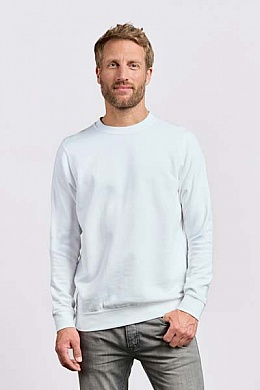 Bluza męska Promodoro Men’s Sweater 80/20 (P-2199) - Zdjęcie