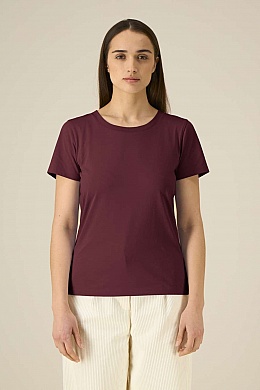 Stella Expresser 2.0 - Photo