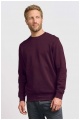 Bluza męska Promodoro Men’s Sweater 80/20 (P-2199) - Zdjęcie