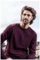 Bluza męska Promodoro Men’s Sweater 80/20 (P-2199) - Zdjęcie