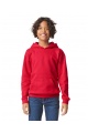 Gildan Kiids Softstyle Hoodie (GIBSF500) 285 g - Zdjęcie