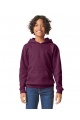 Gildan Kiids Softstyle Hoodie (GIBSF500) 285 g - Zdjęcie