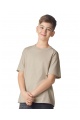 Gildan Softstyle Cotton Youth T (GIB64000) 150 g - Photo