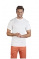 Promodoro Men's T 80/20 (P-3200) - Photo