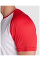 ROLY INDIANAPOLIS T-shirt 140 g (CA6650) - Zdjęcie