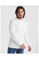 ROLY POINTER Long Sleeve 165 g (CA1204 ) - Photo