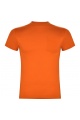 ROLY TECKEL T-shirt męski z kieszenią - Zdjęcie