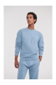 Russel Authentic Sweatshirt (R-262M) - Photo