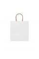 STAMINA HAYA Paper Bag (BO7539) - Photo