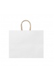 STAMINA MAPLE Paper Bag (BO7541) - Photo