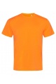 Stedman Cotton Touch Men (ST8600) - Zdjęcie