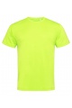 Stedman Cotton Touch Men (ST8600) - Zdjęcie