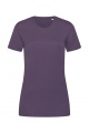 Stedman Sports-T Women (ST8100) - Zdjęcie