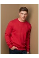 Stedman Sweatshirt Select Men (ST5620) - Photo